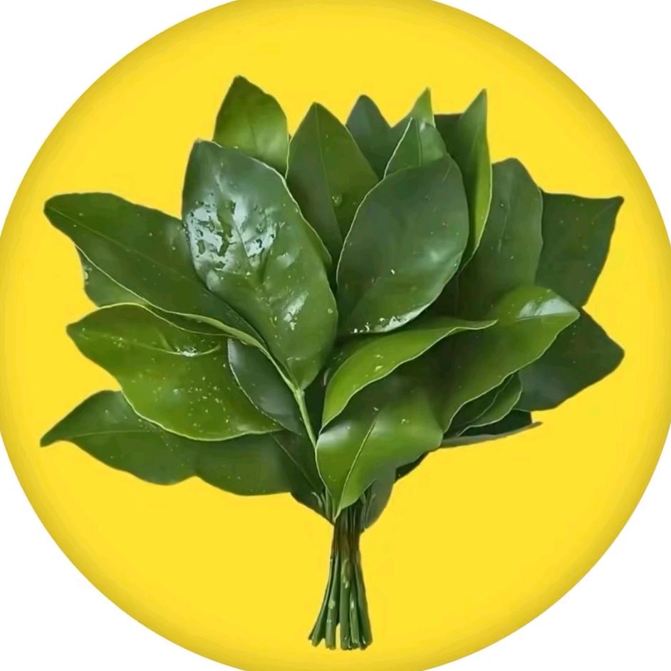 𝓴𝓻𝓲𝓼𝓲𝓭𝓮