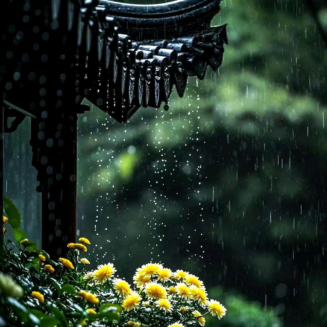 雨声助眠（好物分享）