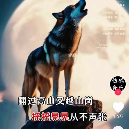 骑着蜗牛跑高速🌾🌾🌾🌻🌻🌻