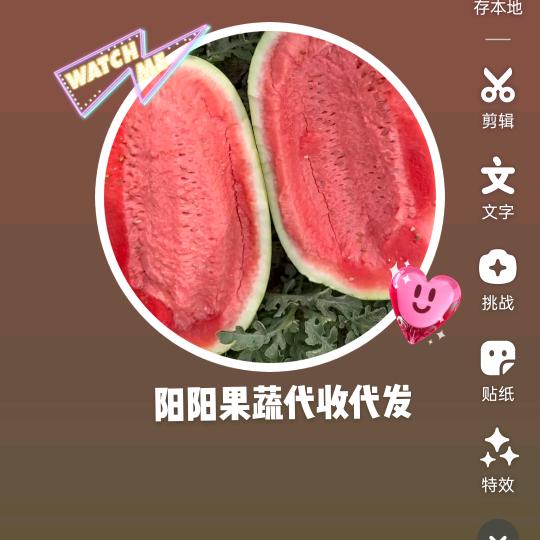 🍉西瓜王子🍉