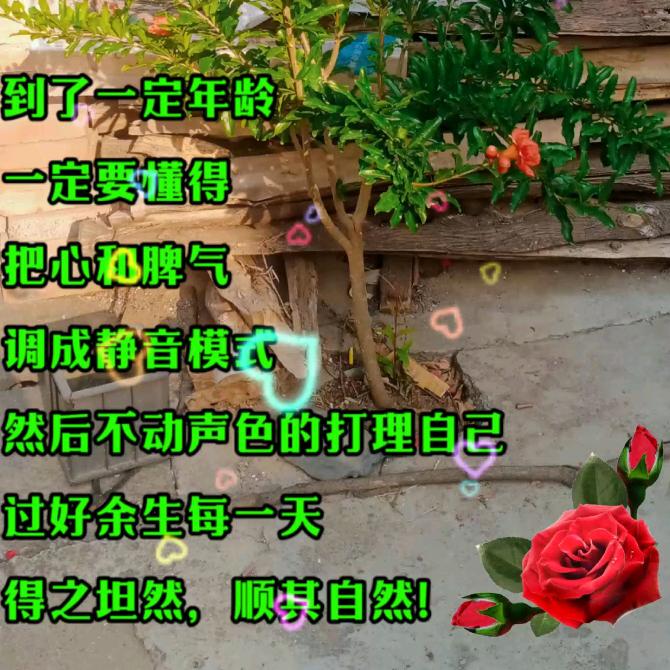 隨緣
