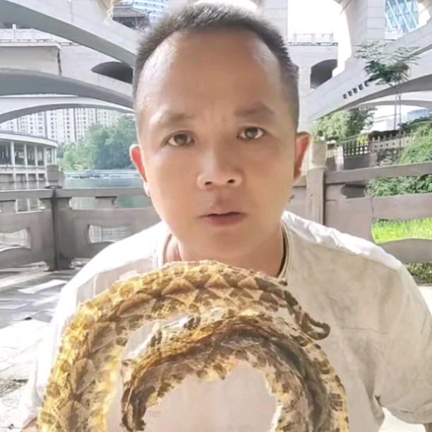 🐍财富起来🐉