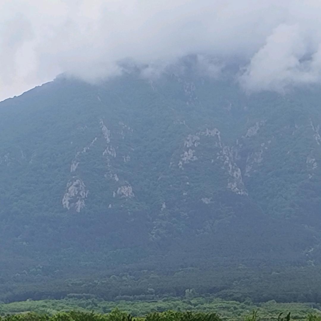 🔥🔥🔥༺想飞的猫༻🔥🔥🔥