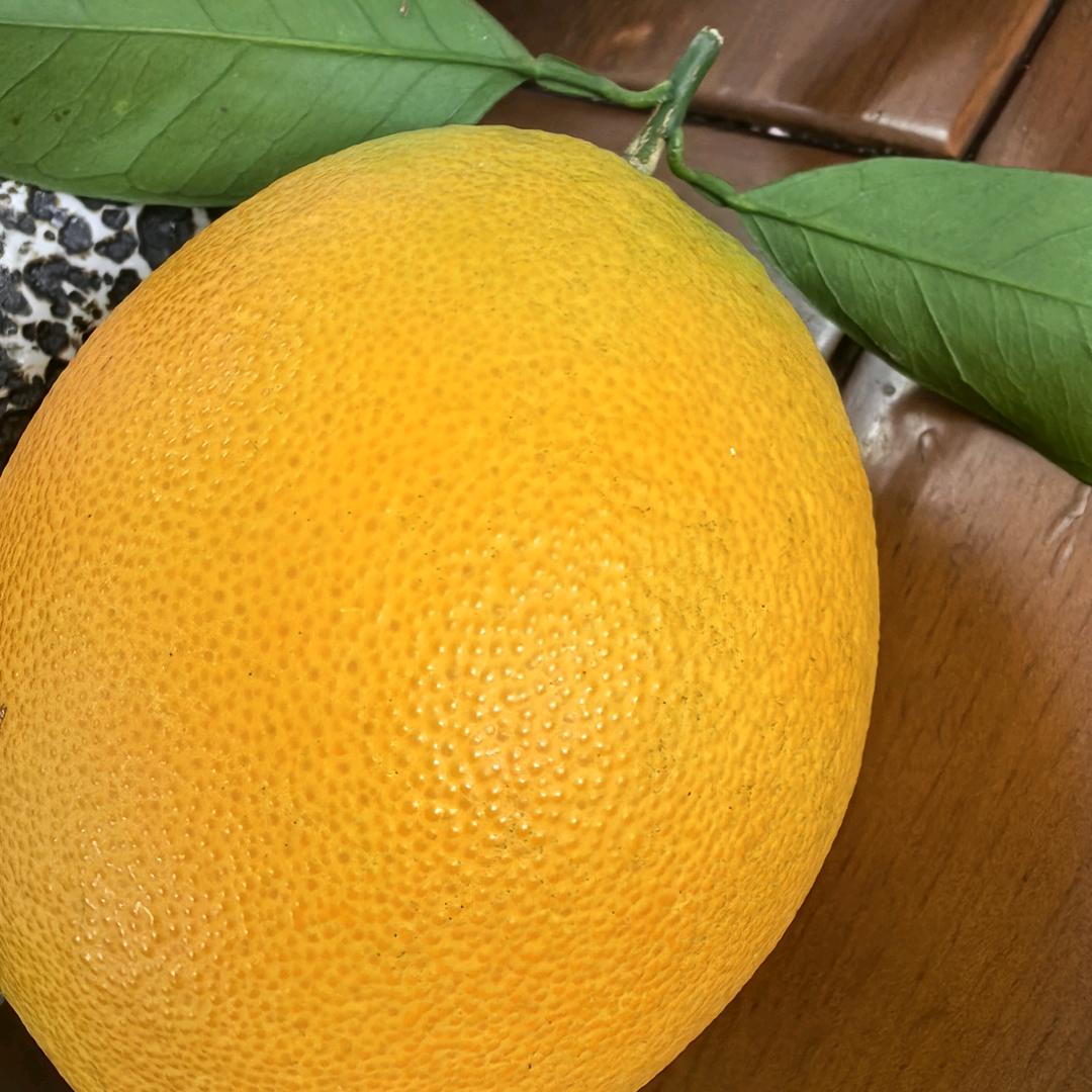 赣州市橙糖电子商务有限公司