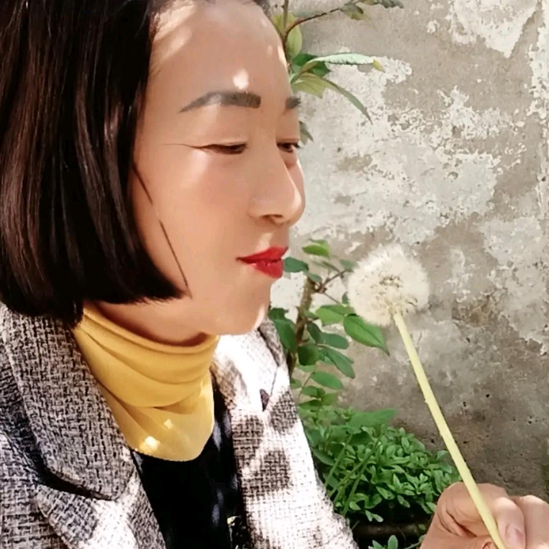 四季花y666