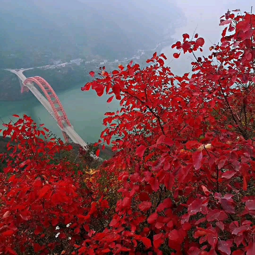 财神爷的乖崽崽