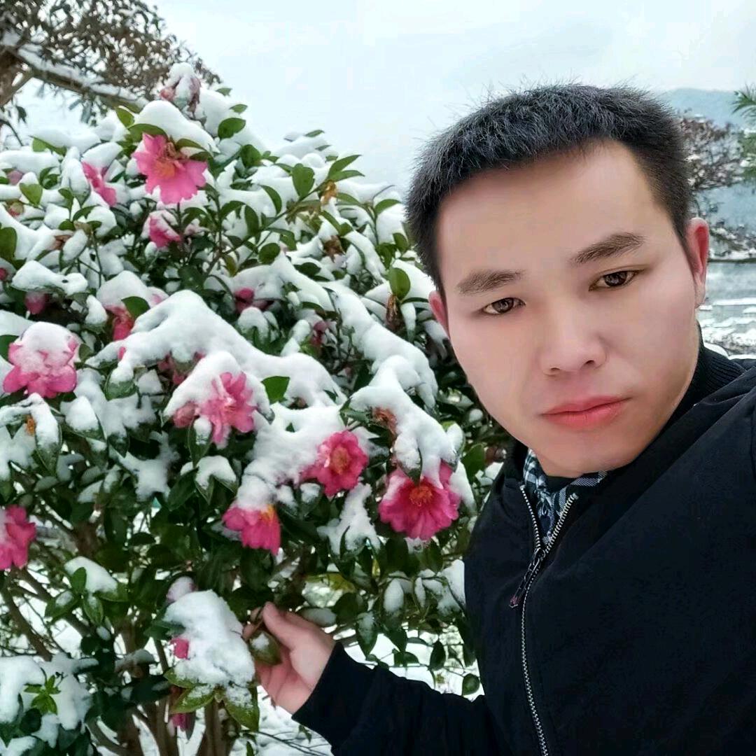 蓝颜知己