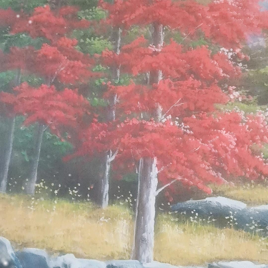 红树林［手机摄影］