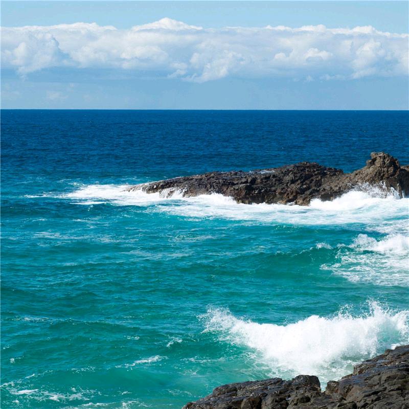 💧海洋💧