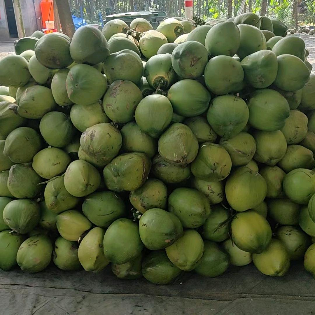 板凳哥