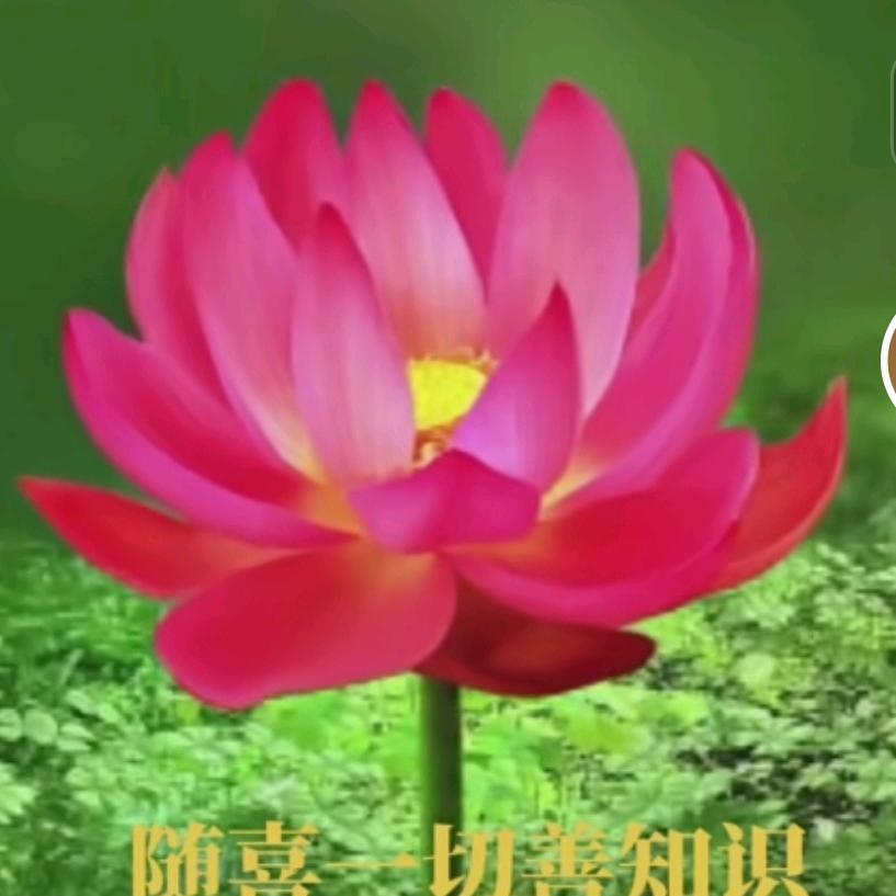 领悟nuopaiksouxunuo