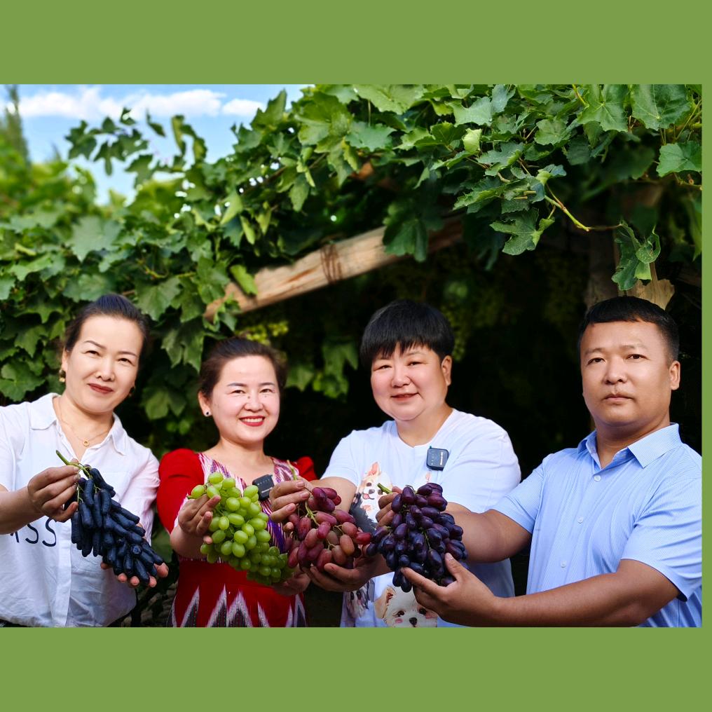 柳树泉农场四连