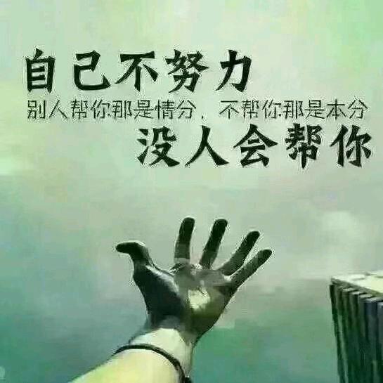 苦命人。寂寞的狼