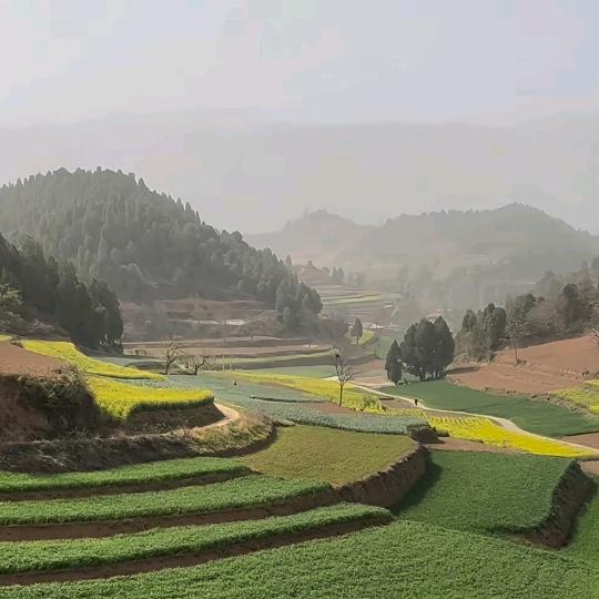 渔歌袅袅