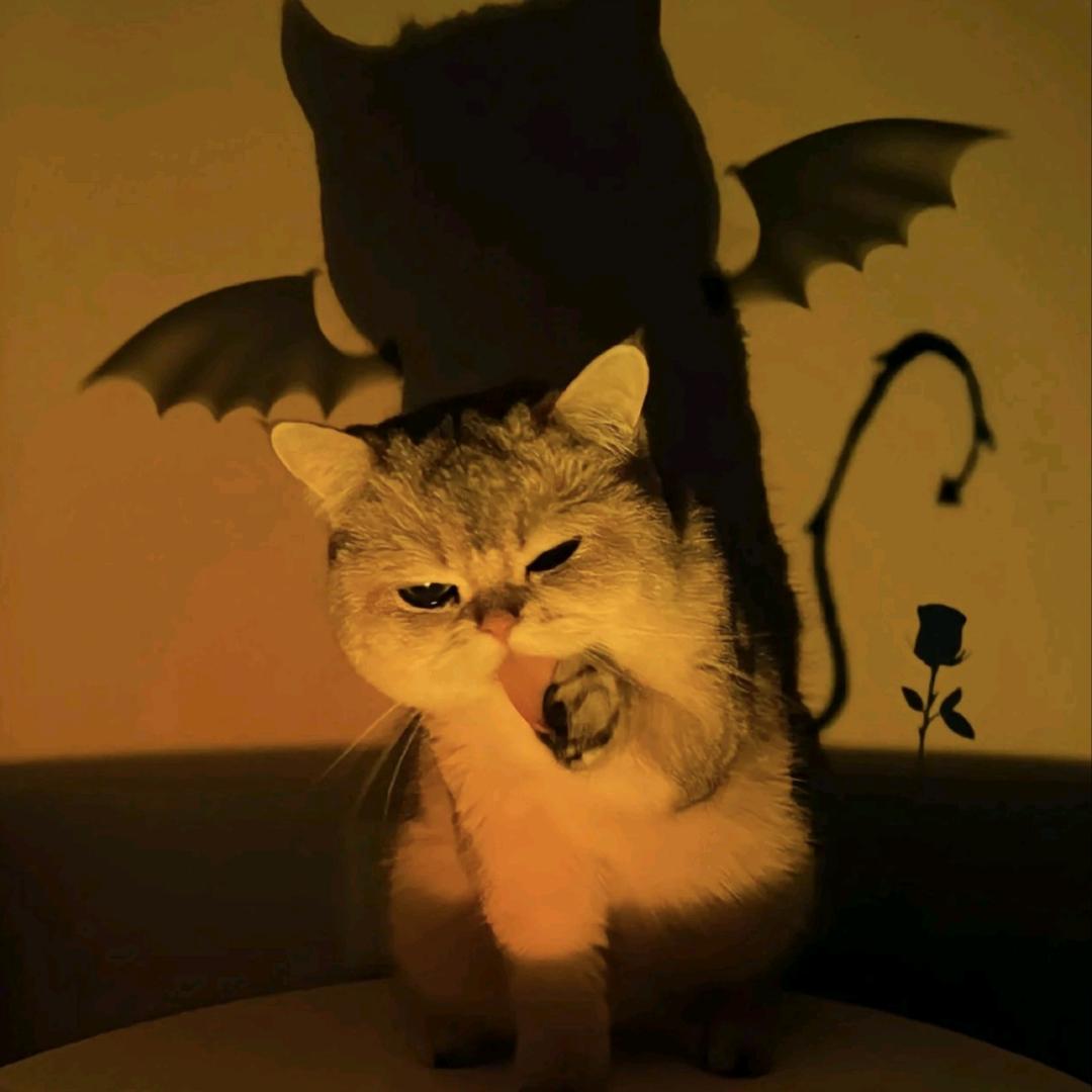 穿靴子的猫