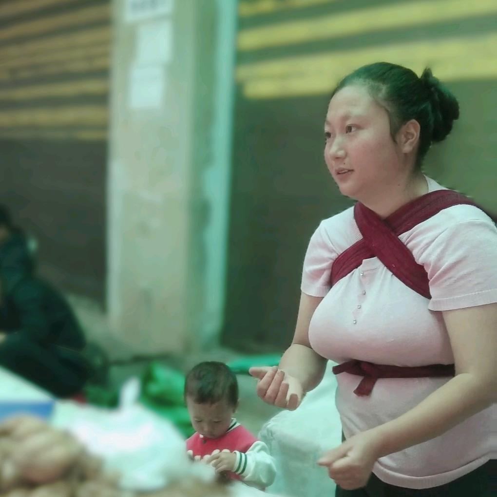 小金凤