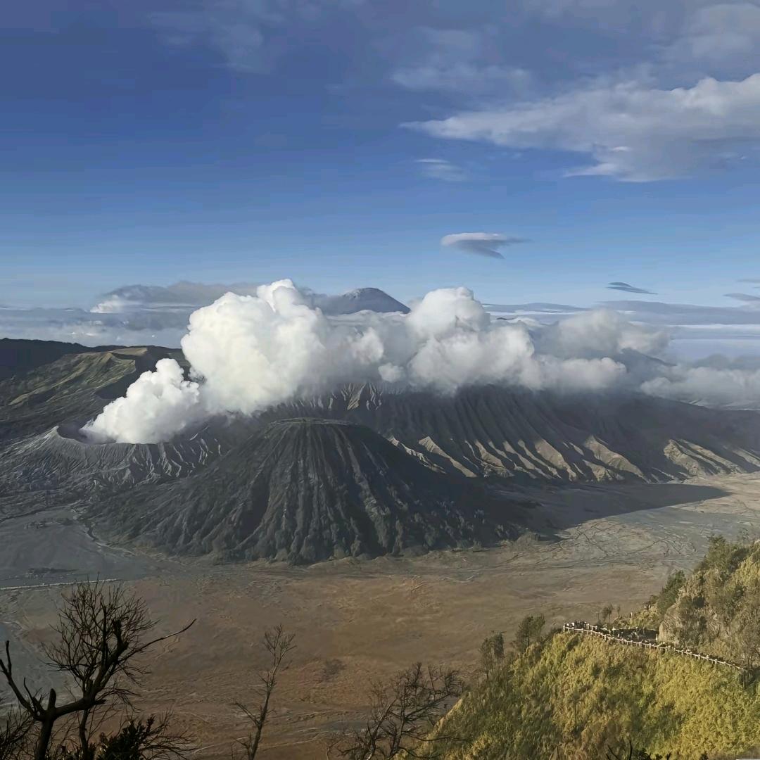 劉青山