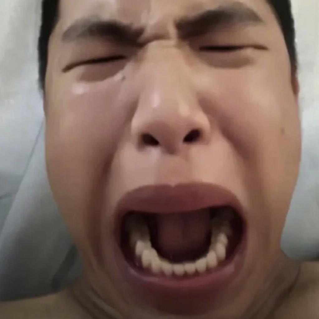 纯牛马