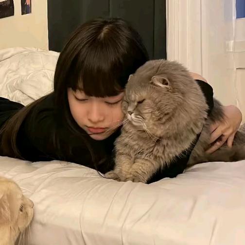 他说转弯告个别