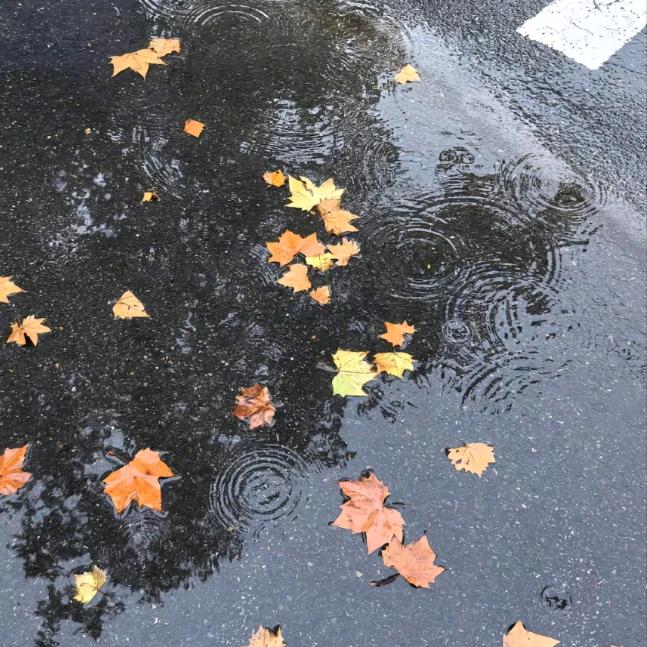 禾于商贸直播号