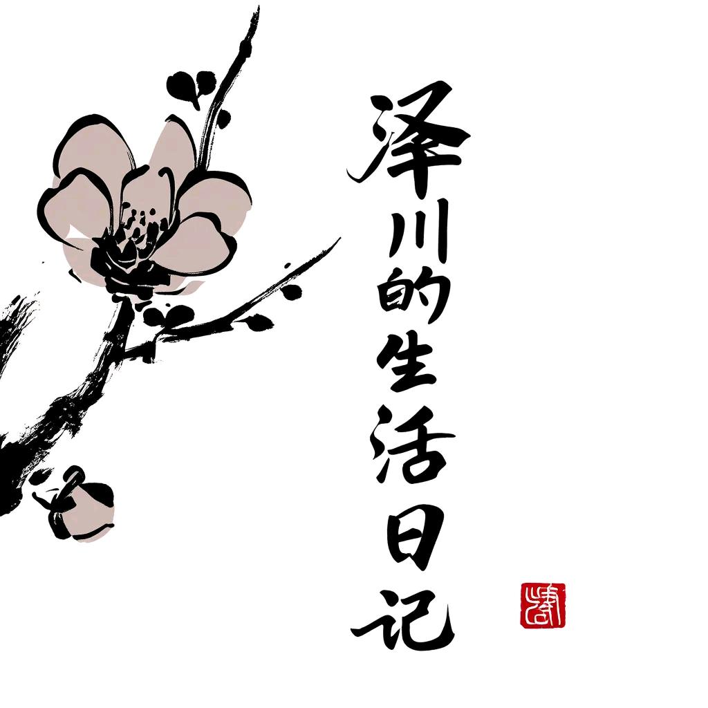 泽川的生活日记头像