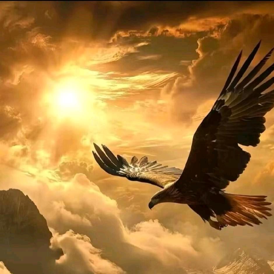 特种作业操作证咨询