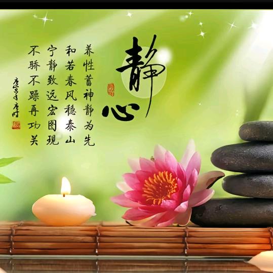 真心真缘（3）