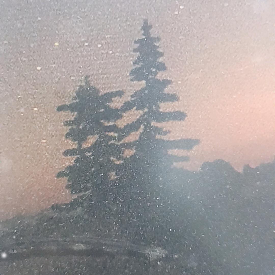 迈鲸严选-总经理