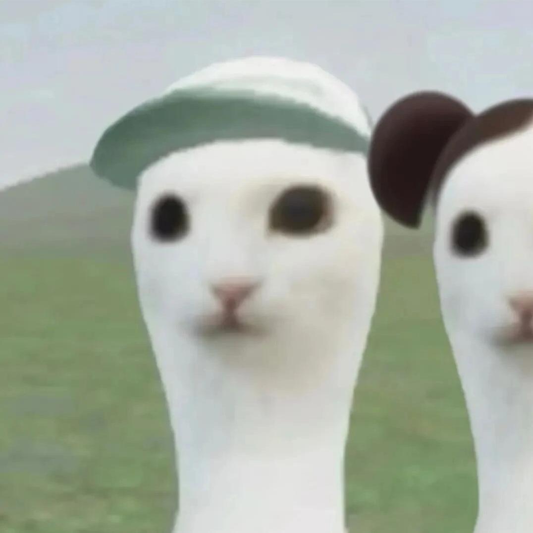 人机小怡别装