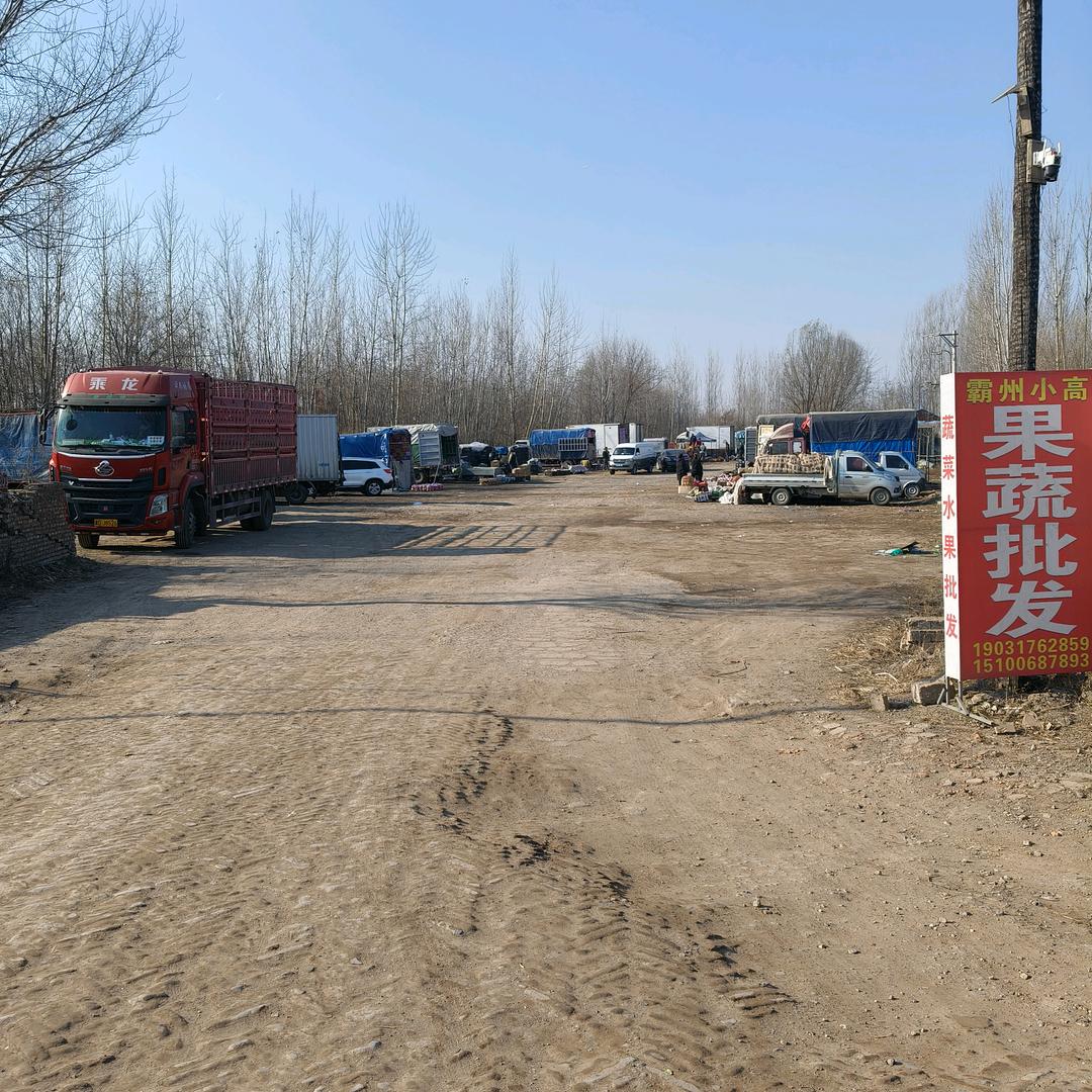 霸州小高请叫我高总