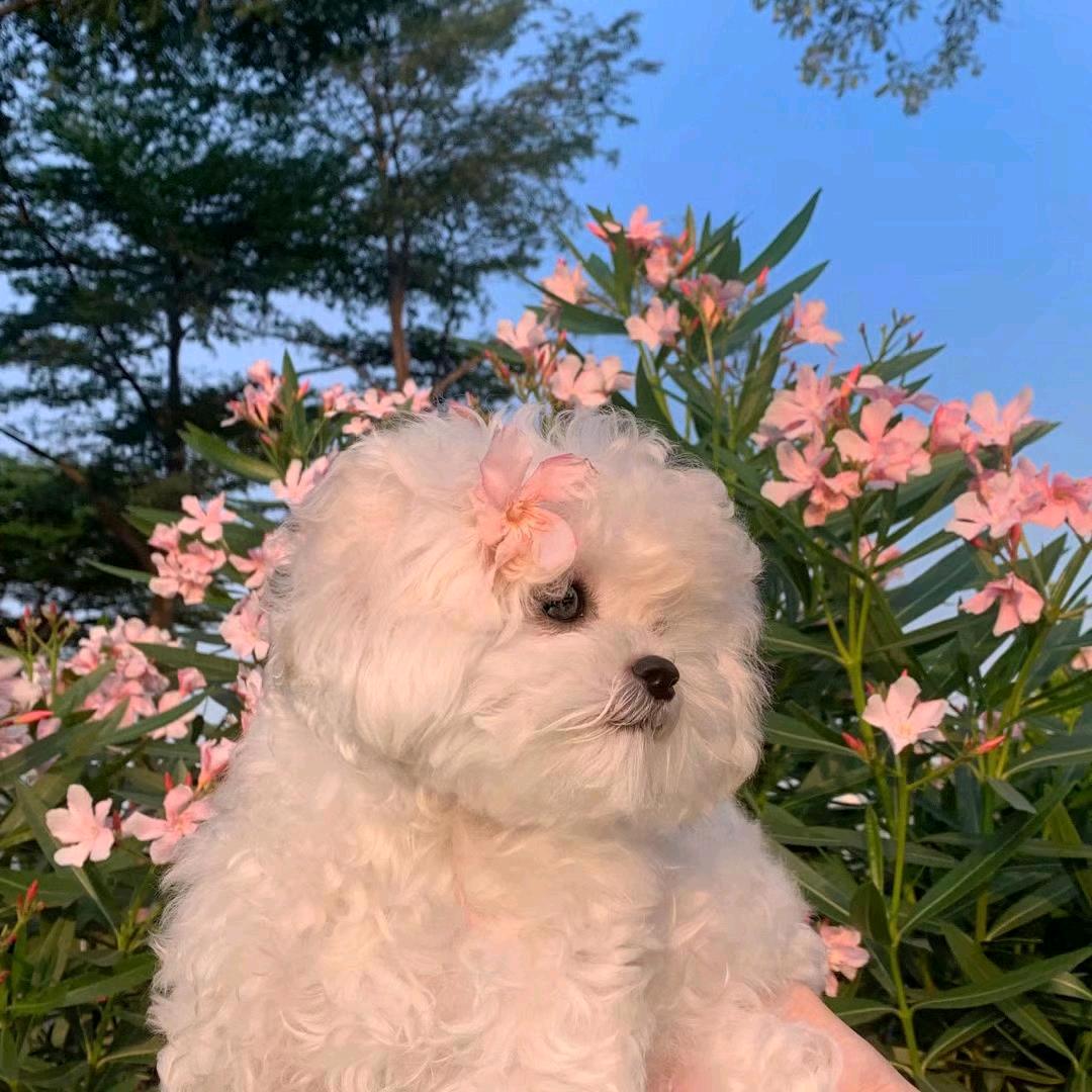 我每天都很困🤨