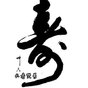 长寿樊哥