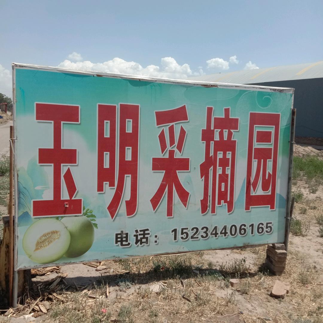 涧里玉明甜西瓜特产