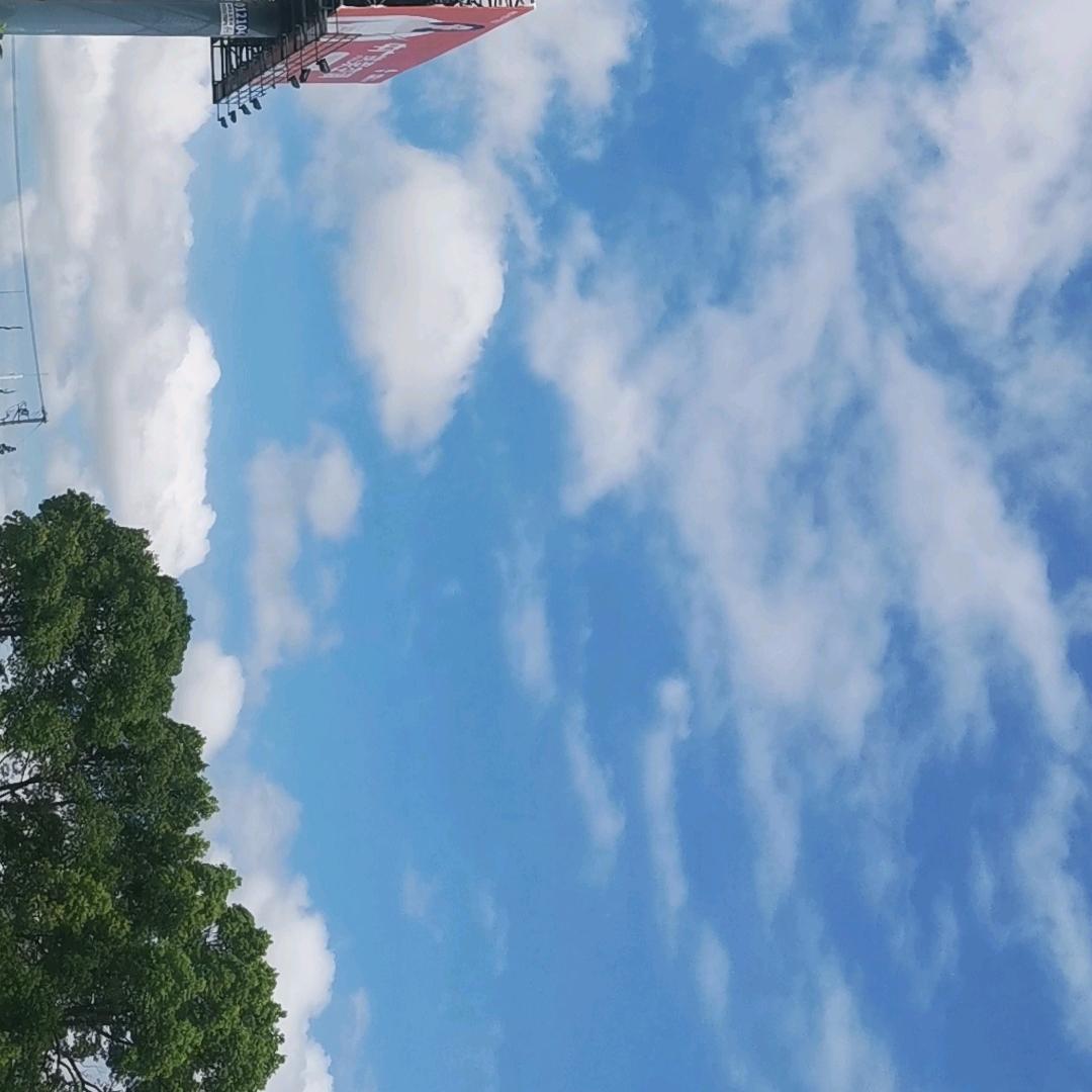 阿斗66666