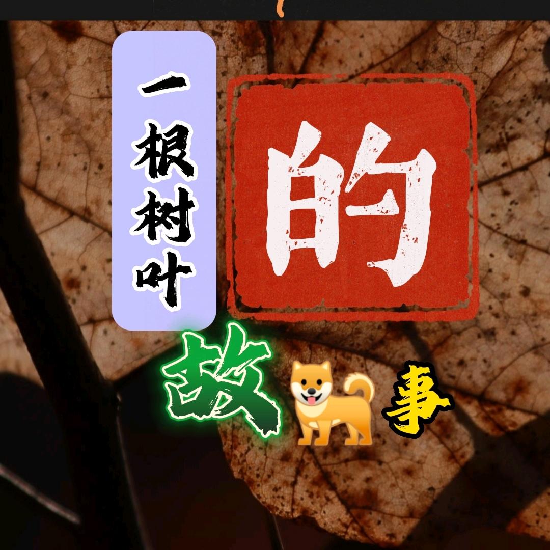 一根树叶的故事