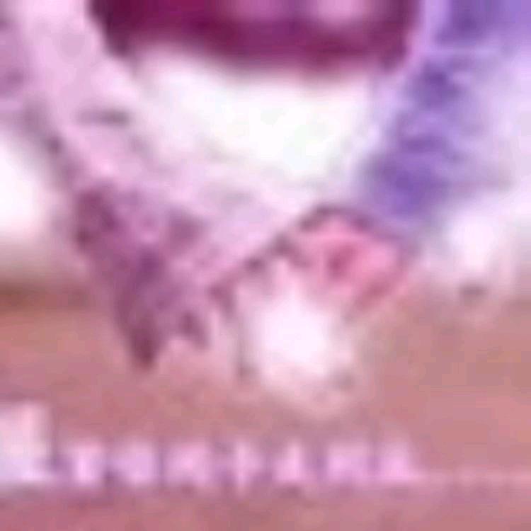 ꧁💖羊🌺宝的男神💖꧂