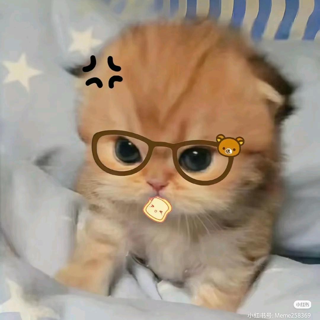 #琳安辞′祝自己1.13(互到200)?