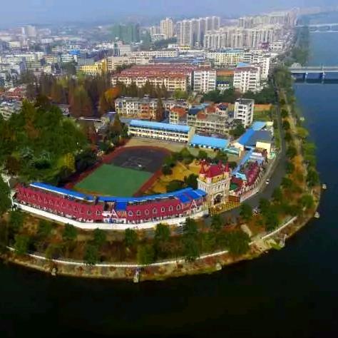 金太阳学校华老师