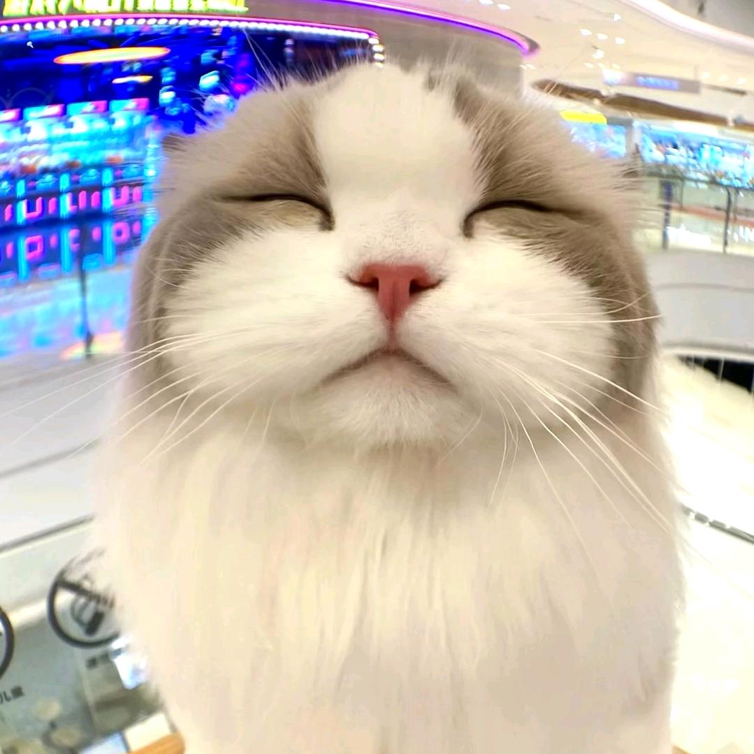 三先生潮壳