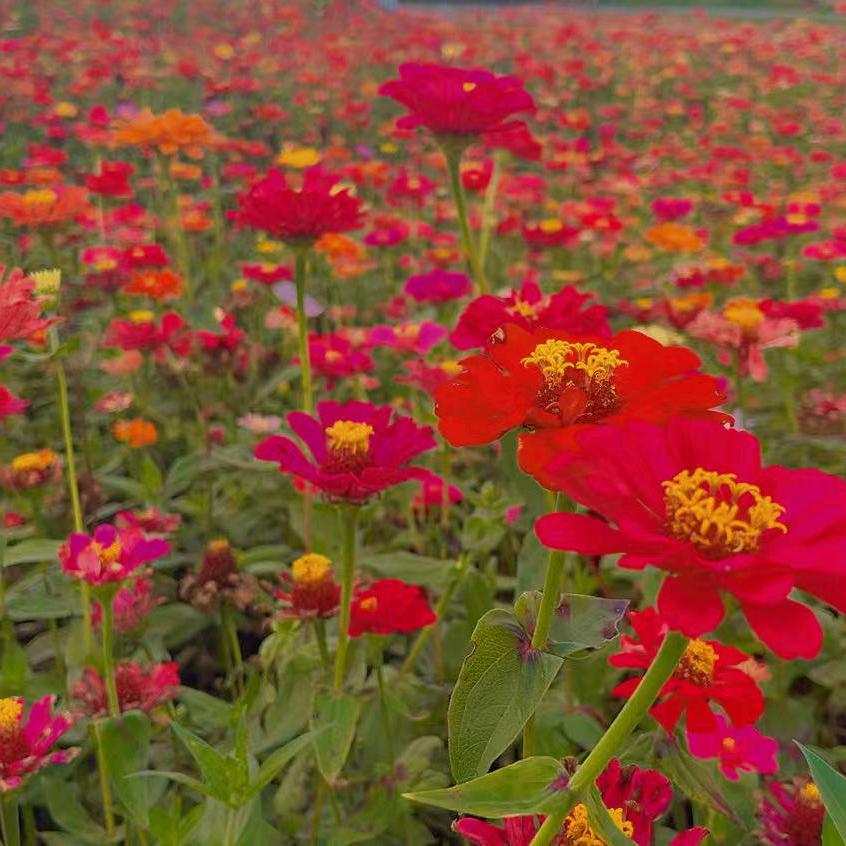 把该放下的放下吧