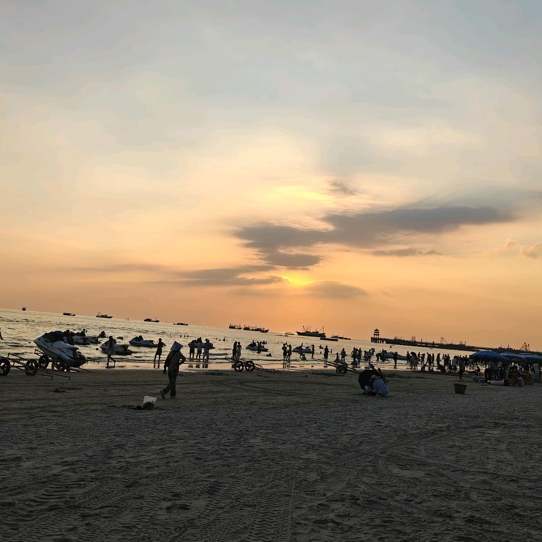 窗台上的仙人掌