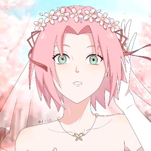 樱🌸