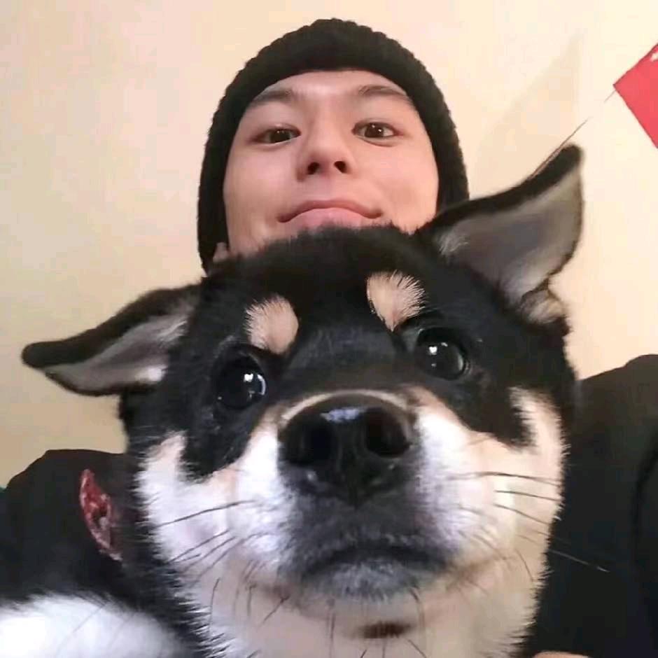 草牧场