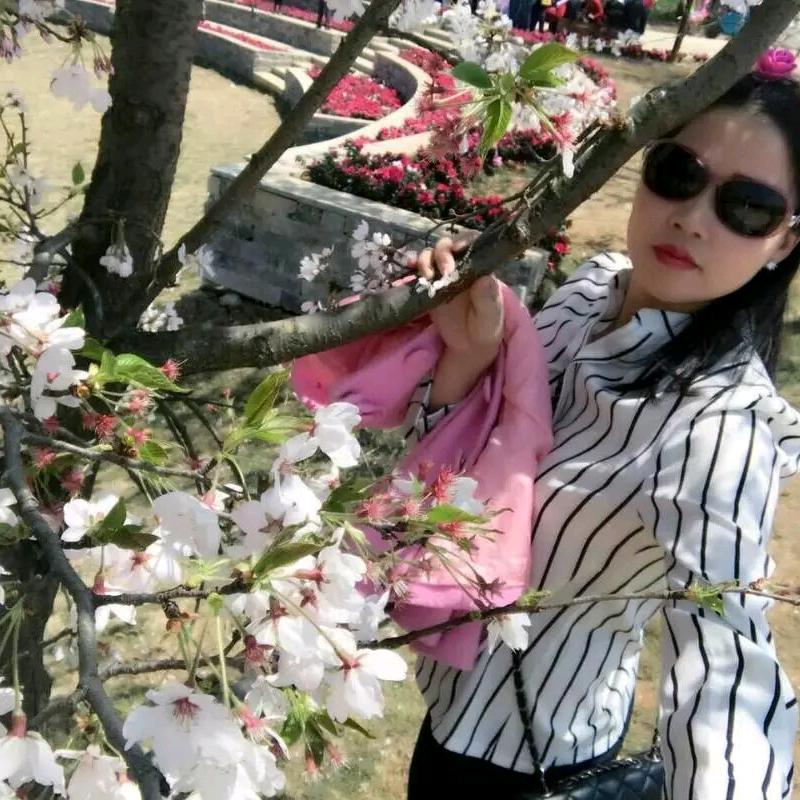 如若初见