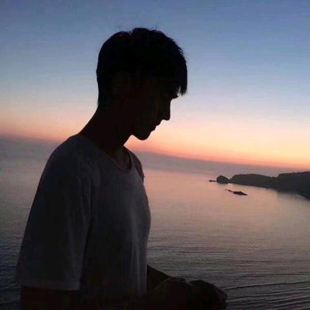 偏偏喜欢李