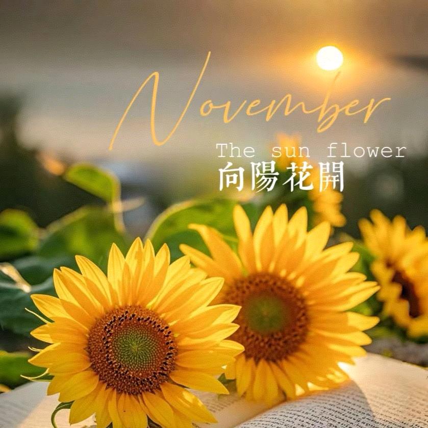 陈陈@