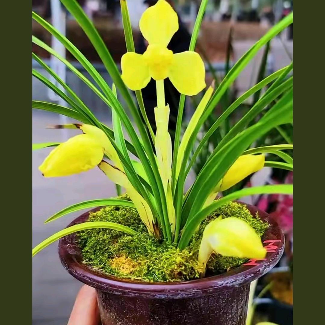 走东闯西