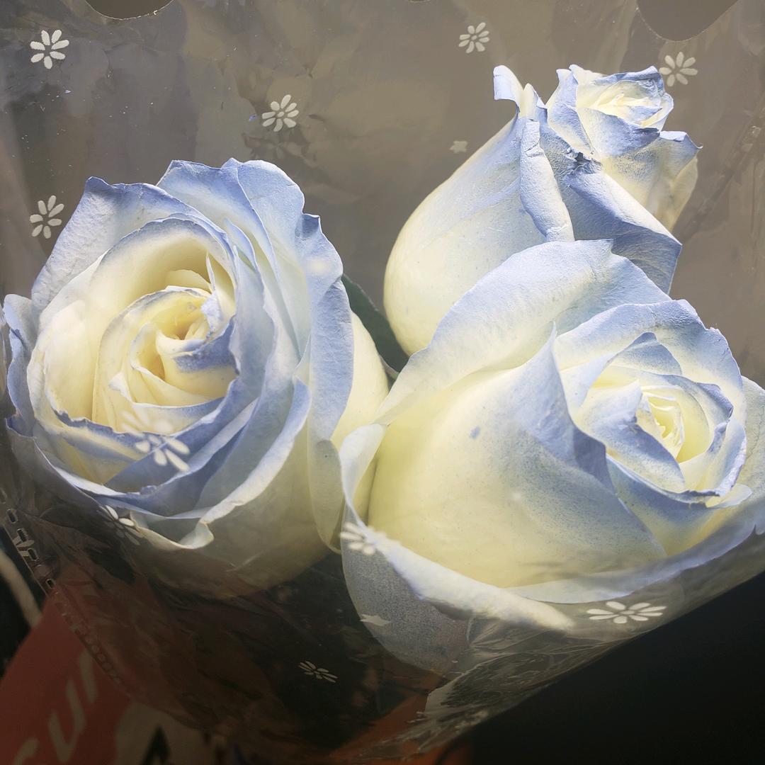 嗨皮的flowers