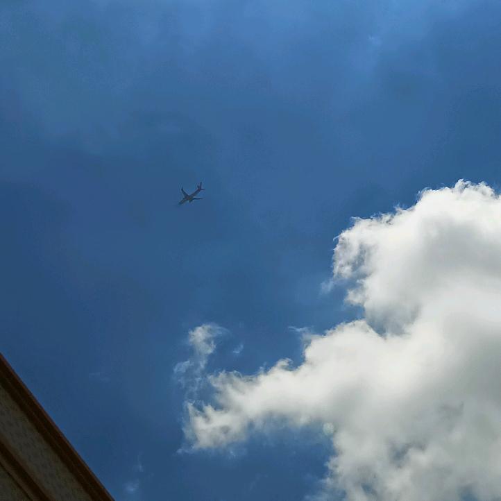 石来转运（四哥）