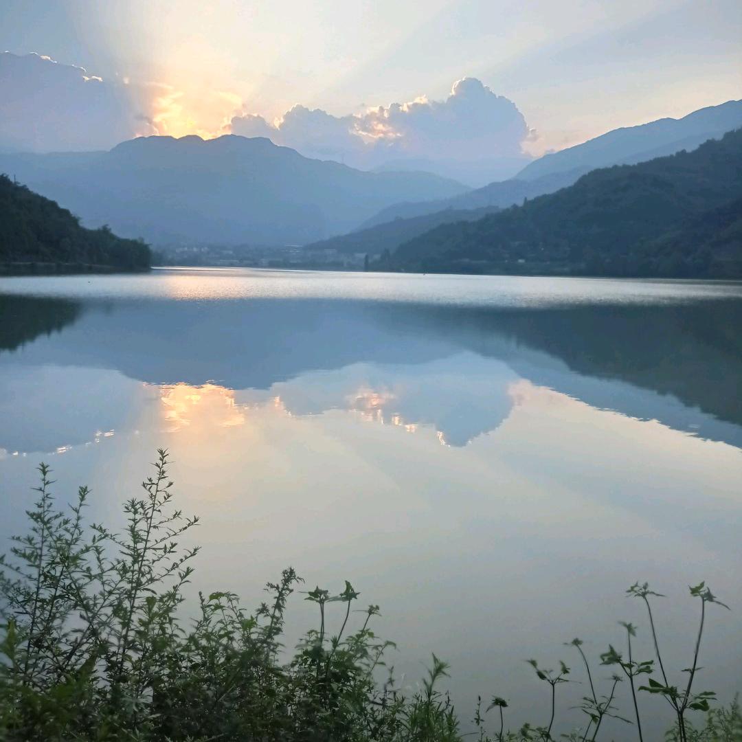 萍水相逢🌹🌹